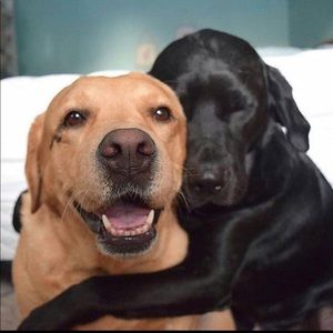 Meet your Posher, Derek